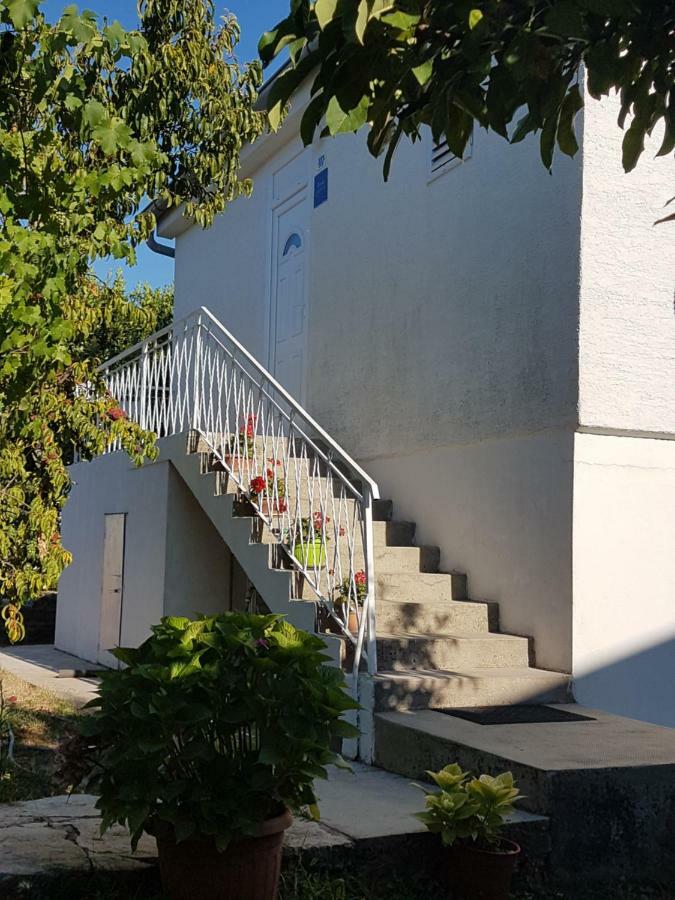 Apartman Roko Petrčane Exterior foto